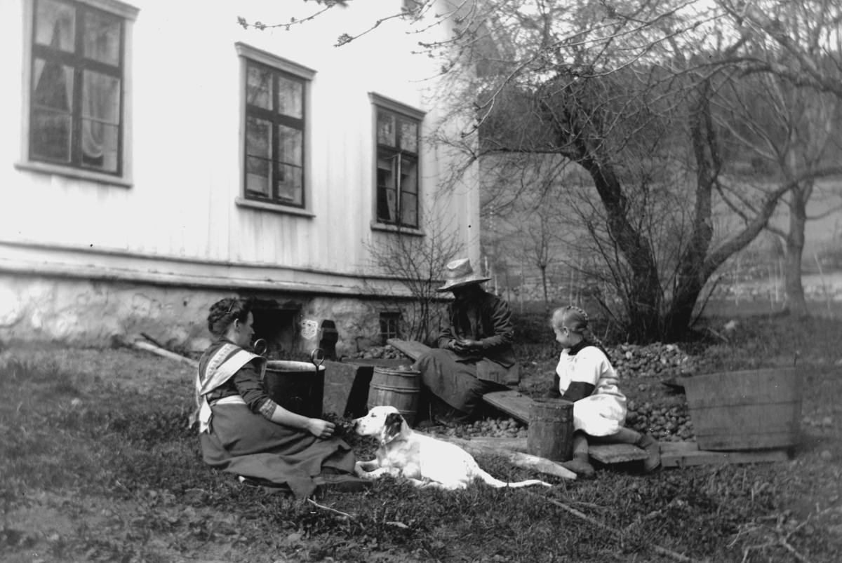 Ole Hansen Løken, LØKEN ØSTRE, 3 UKJENTE KVINNER, BARN, HUND, SKRELLING AV POTETER UTENDØRS, TREBUTTER, GRYTE.