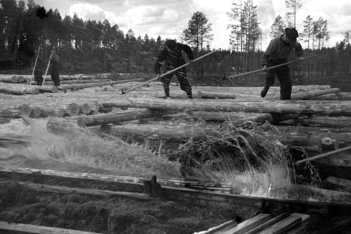 Anno Domkirkeodden, TØMMERFLØTING, 4 MENN ARBEIDER V/LITE STRYK, ELV, ØSTRE SKOGBYGD, LØTEN