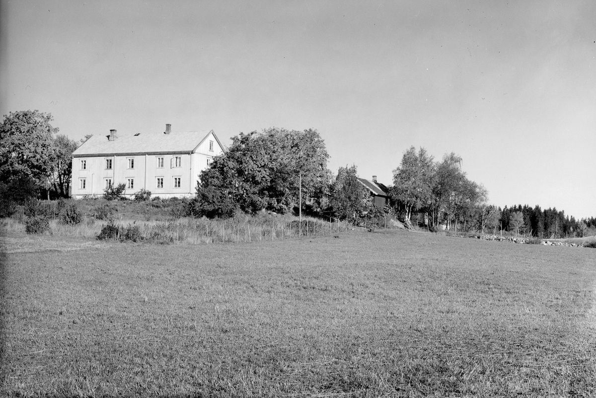 Anno Domkirkeodden, EKSTR: GARDSTUN, LUNDE VESTRE, LØTEN. Se Løtenboka, bind 1. Bygdeboka fra 1949, side 444