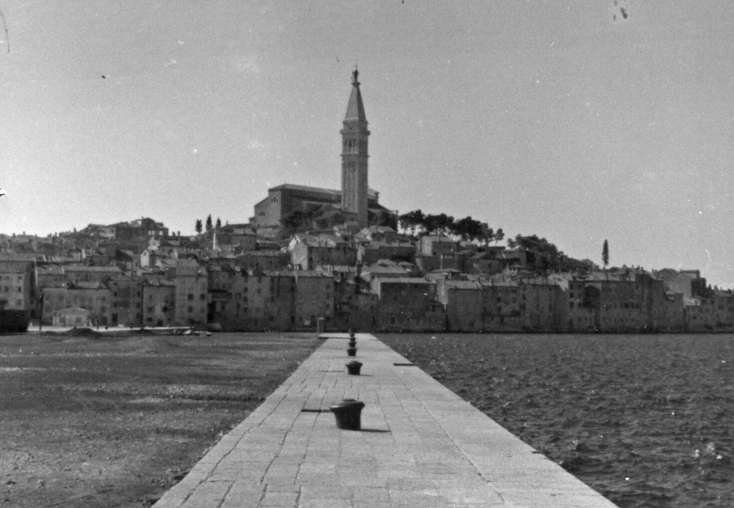Branko Fučić, Rovinj, panorama na stari dio grada sa sjeveroistoka, s Val di bora