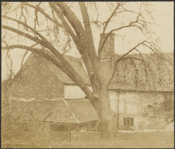 Roger Fenton, [Old House and Tree]