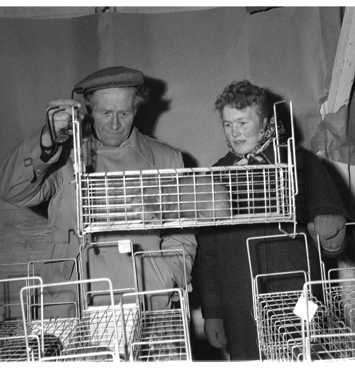 Per Magne Grue, Mink-utstilling, Tynset 1958.