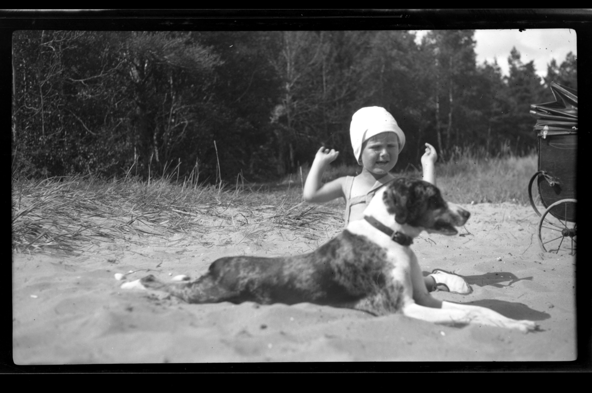 Rolf Sr. Sundt, Lars Peter Sundt sammen med hund på stranden på Ula i Vestfold. Fotografert 1932.