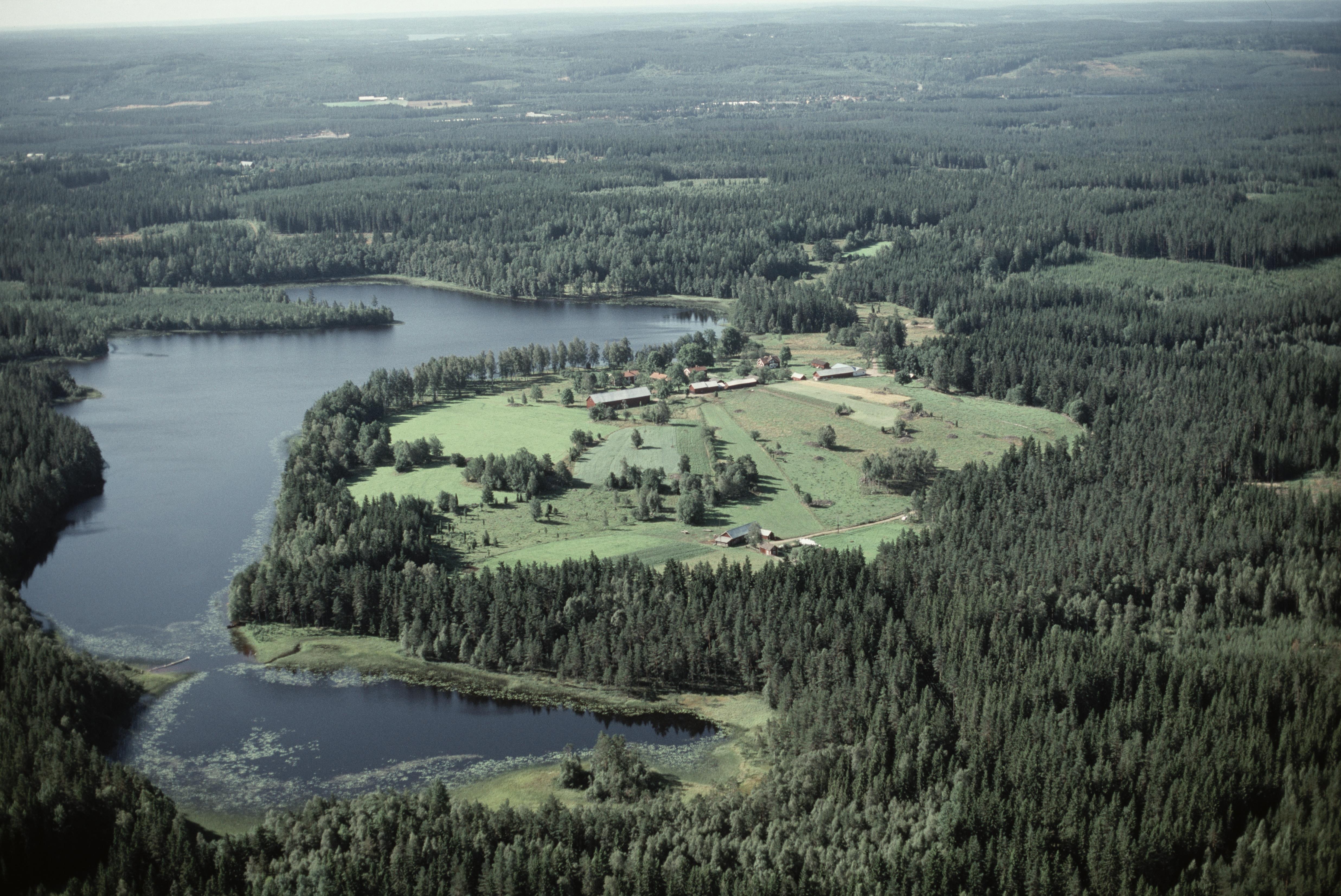 Jan Norrman, Näs i Ingatorp