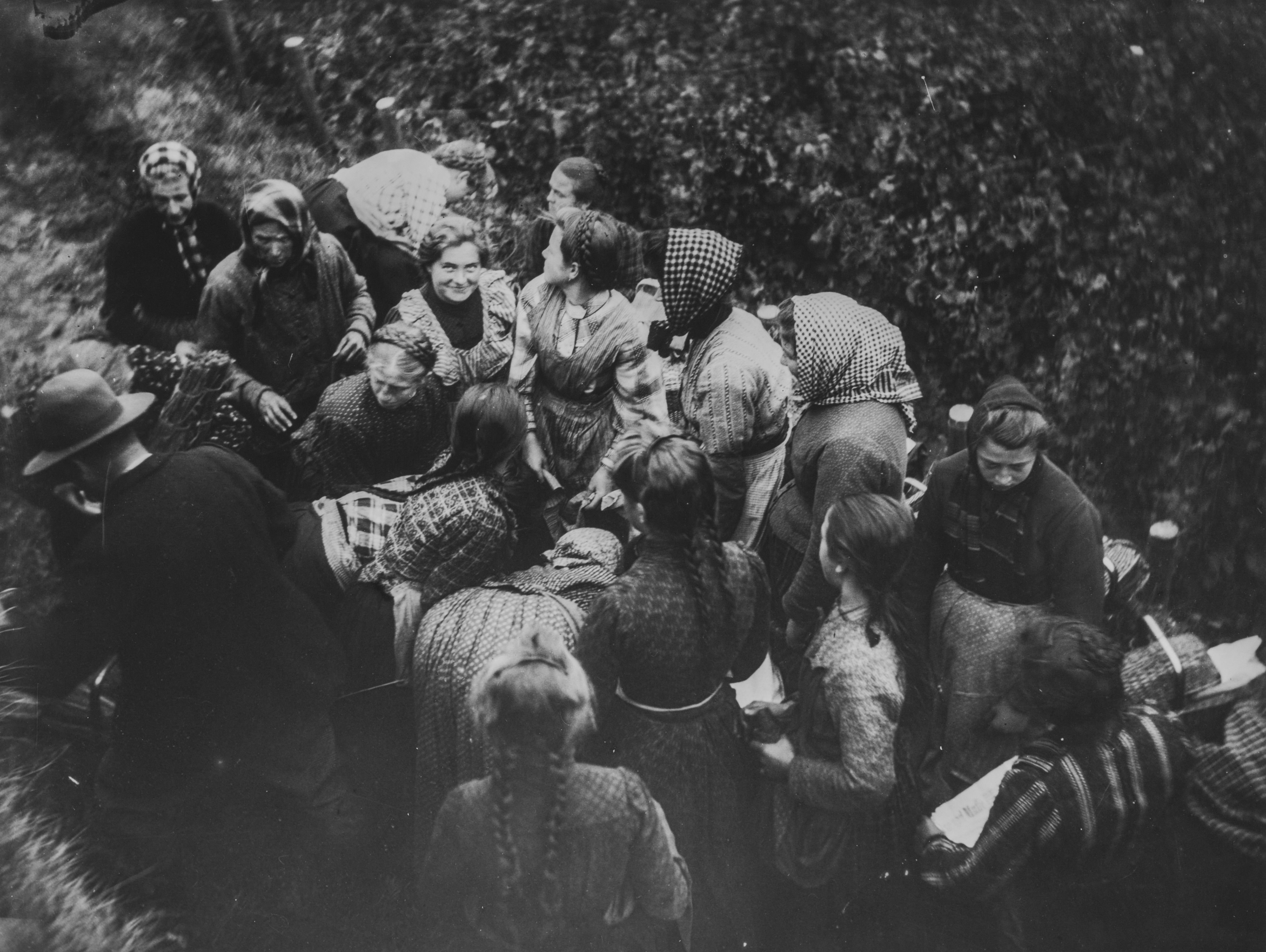 Heinrich Strieffler, Historische Fotografie: Mittagspause der Weinleserinnen