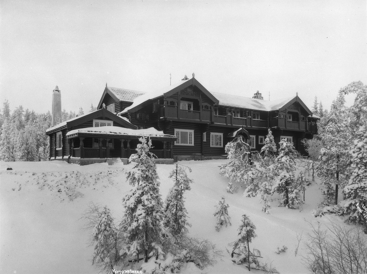 Anders Beer Wilse, Prot: Kongevillaen søndre fløi vinter 27/11 1909