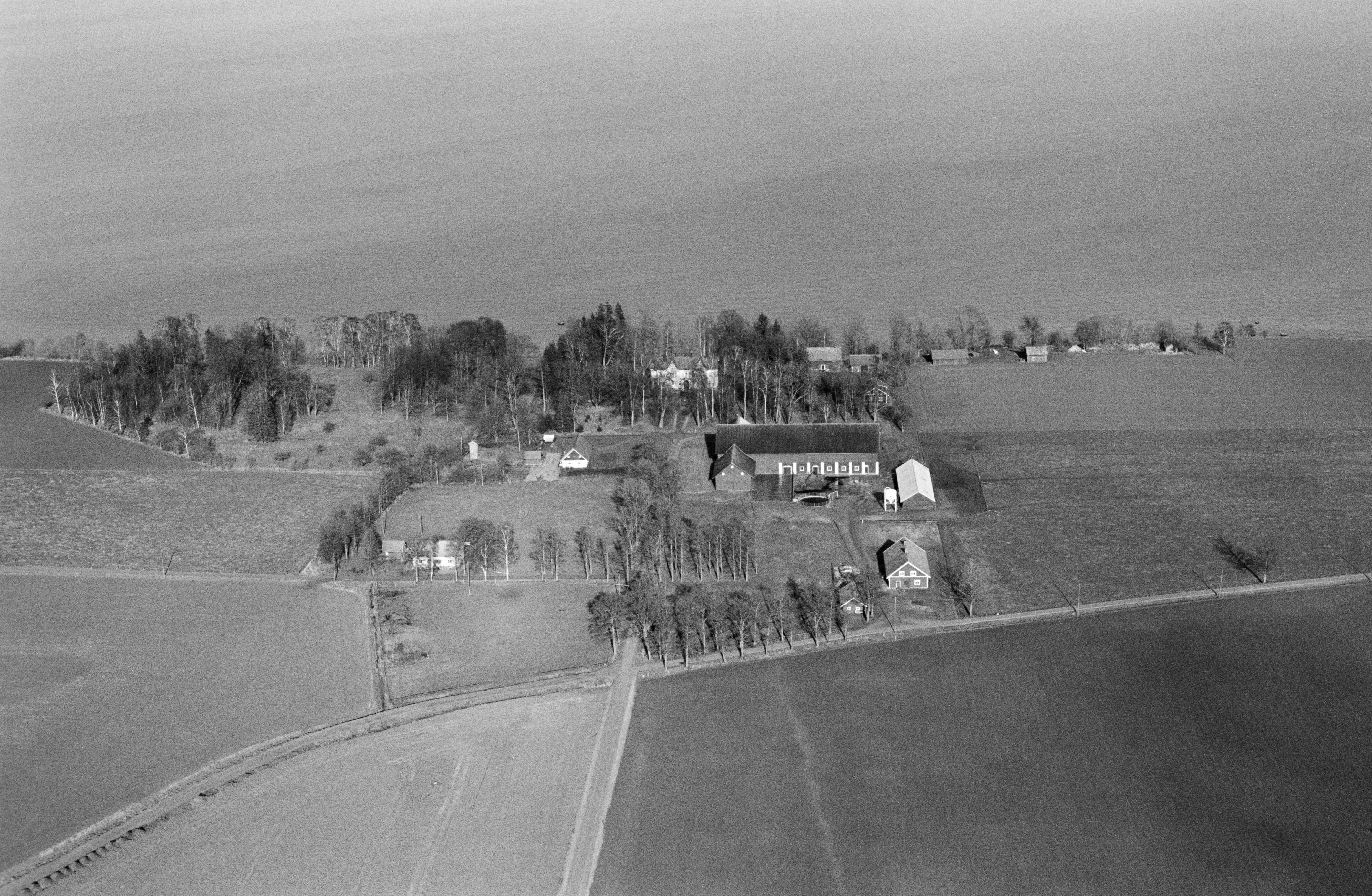 Jan Norrman, Moanäs