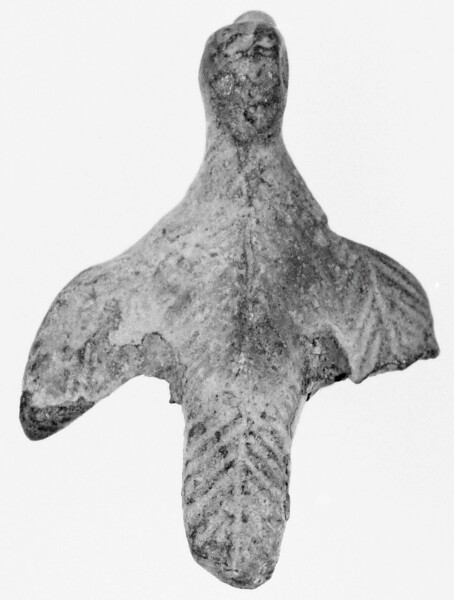 Unknown, Bird