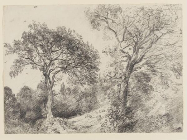 Constable, John (RA), Trees in West End Fields, Hampstead