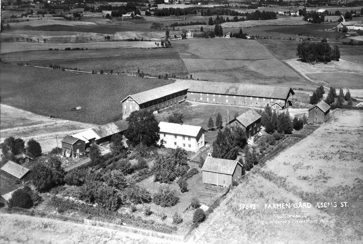 Widerøes Flyveselskap A/S, FLYFOTO FARMENPOSTKORTNEGATIV