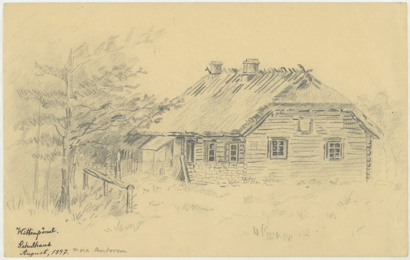 Nora (autor) Anderson, Koolimaja Vitis