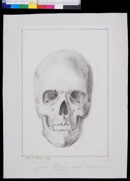 Poster, H.J, (active, Skull of a Russina woman
