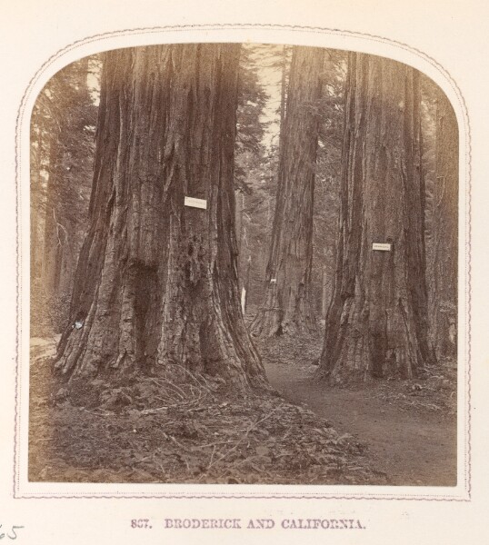 Thomas Houseworth, Broderick and California