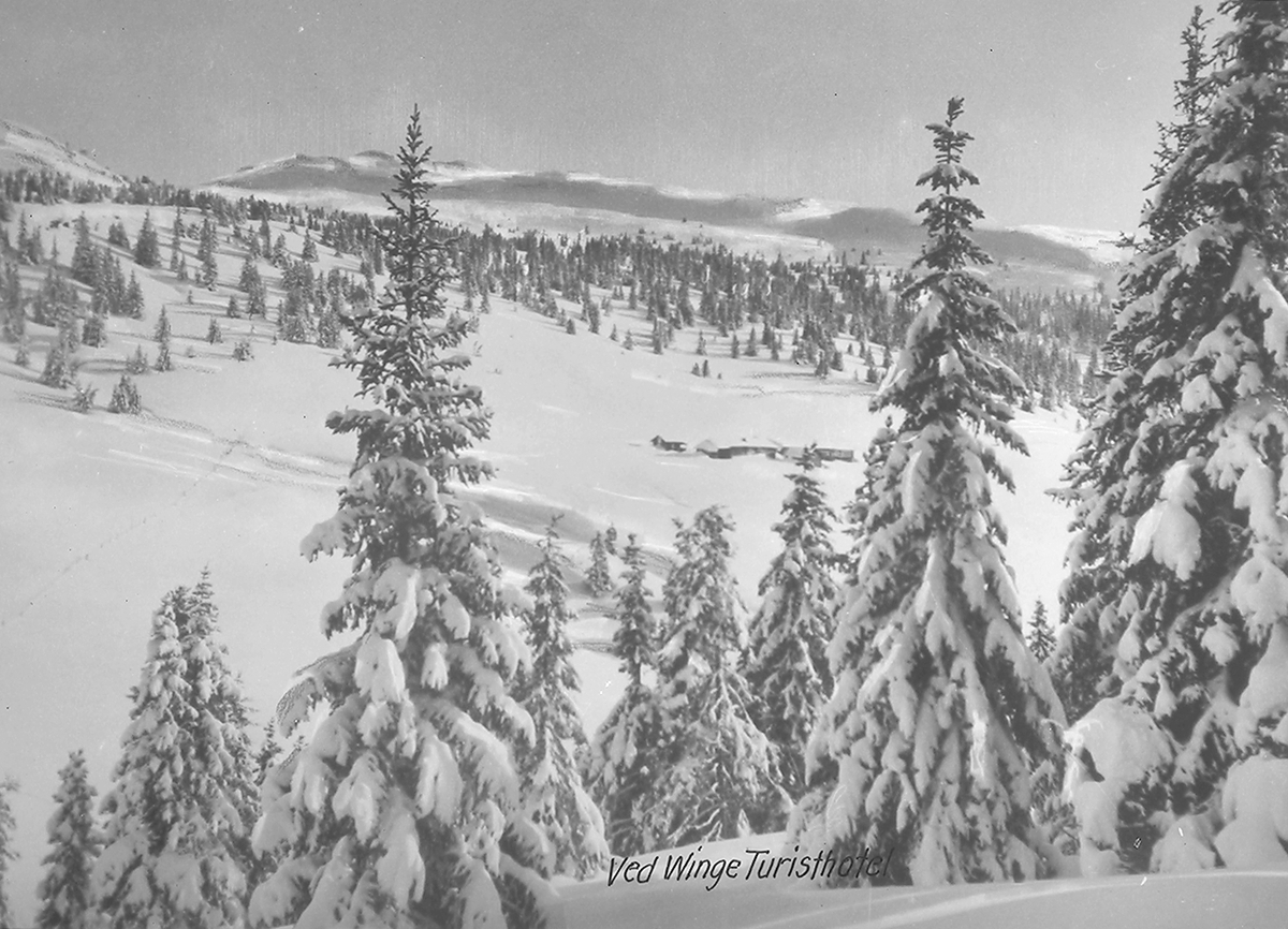 Anders Beer Wilse, Prot: Winge turisthotel vinter brevkort