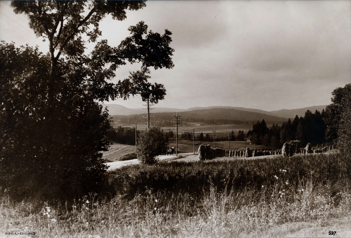Hermann Christian Neupert, Landskap, Bogstad, Oslo Oversiktsbilde med utsyn over jorder med rader av høystakker. Oversiktsbilde. Veiparti. Fot. H.C. Neupert (nr.597) ant. 1920.