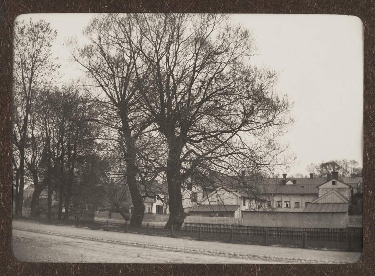 August Fredrik Schagerström, "Upsala, ån utanför Magdeburg", vy från Västra Strandgatan över Fyrisån mot kvarteret Lindormen, Uppsala 1913