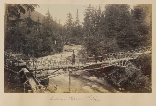 Unknown, Indian River, Sitka
