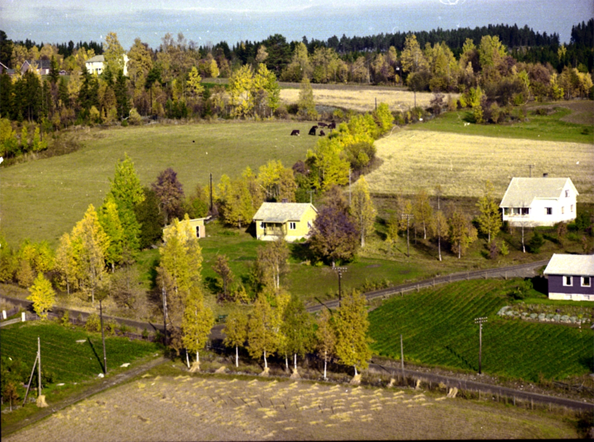 Widerøes Flyveselskap A/S, FLYFOTO LIA I MÆHLUMSGUTUA, VALLSET