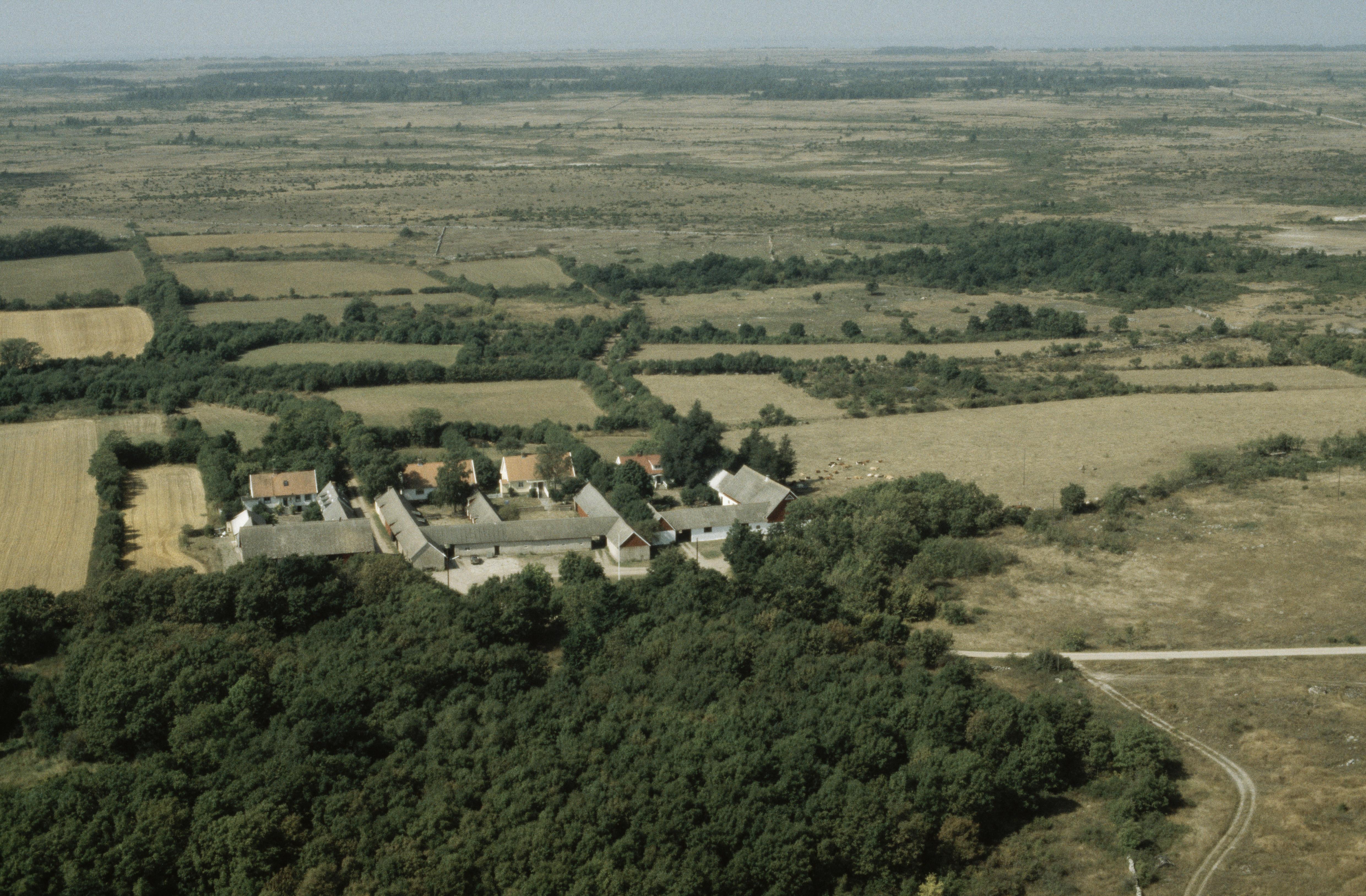 Jan Norrman, Gösslunda