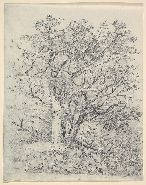 John Crome, Study for Three Trees
