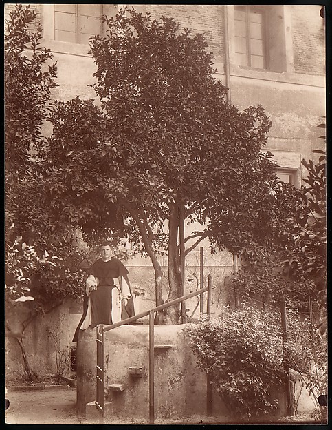Unknown, [St. Domenic's Orange Tree on the Aventine]