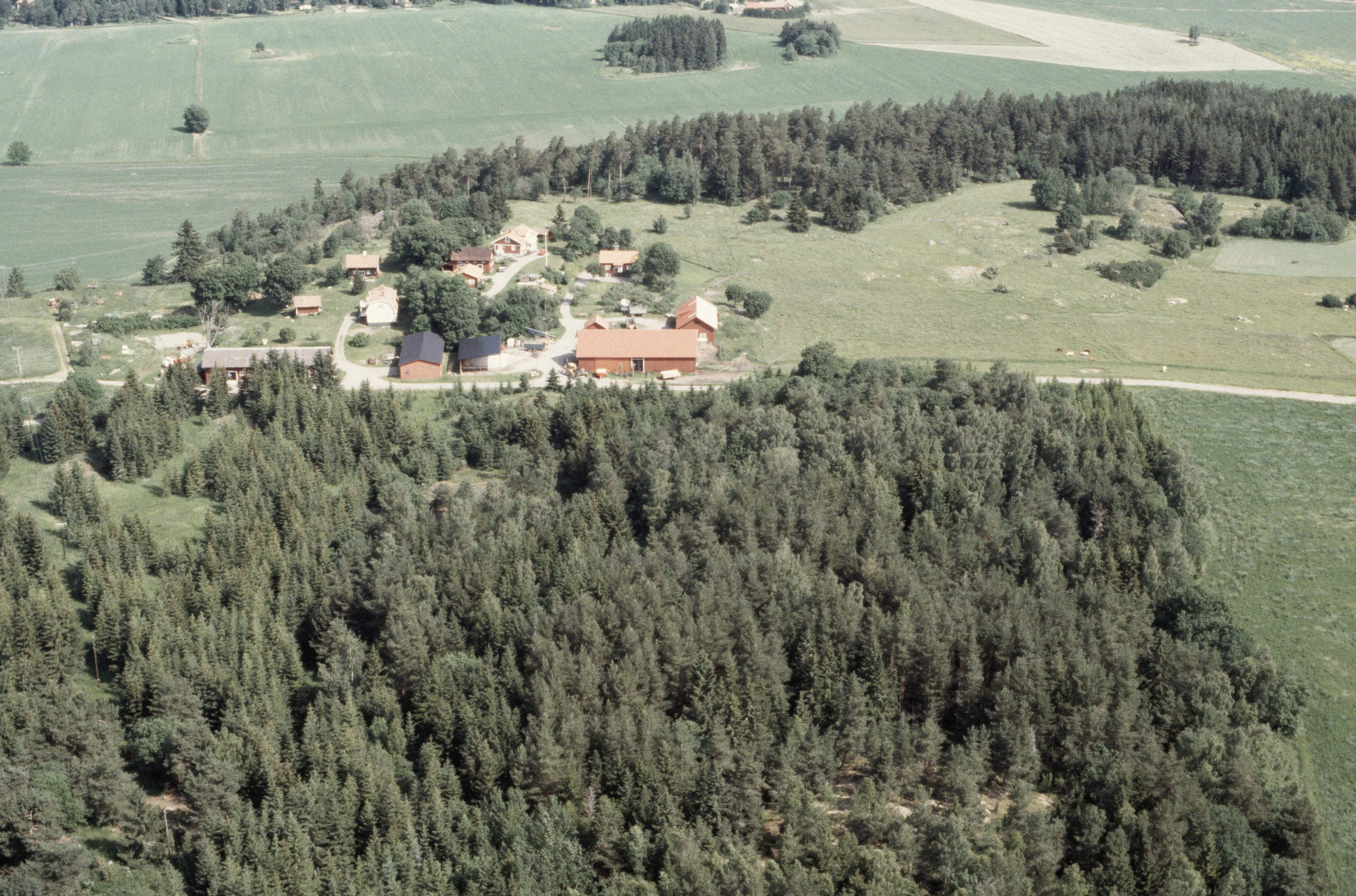 Jan Norrman, Kungsängen 36:1