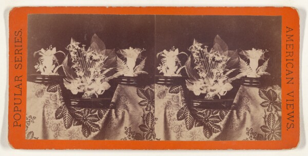 Edward and Henry T. Anthony & Co., Beautiful Study in Skeleton Leaves. The Lyre.