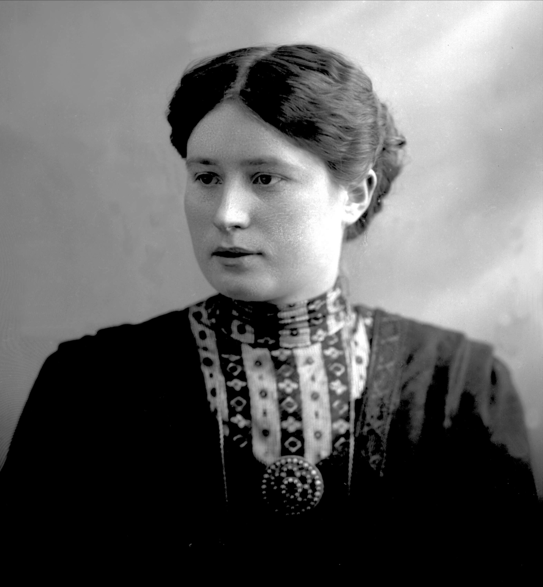 Gustav Borgen, NFB.31399