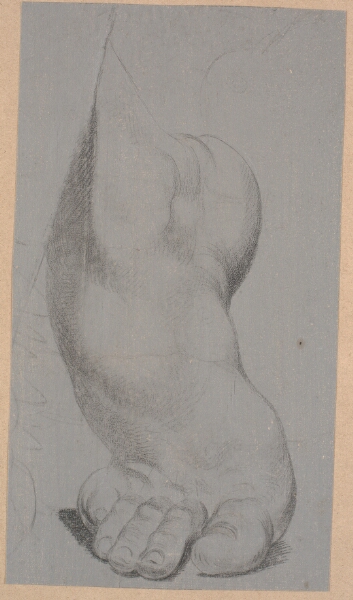 Nicolai Abildgaard, Studie af en fod