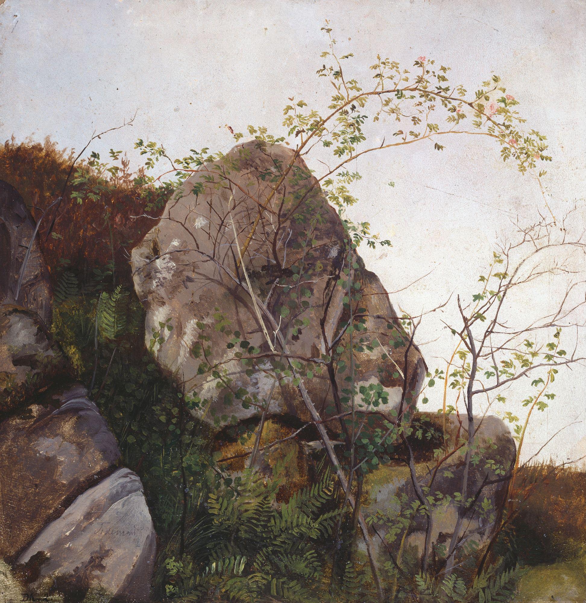 Adolph Tidemand, Study of Dog Roses and Ferns
