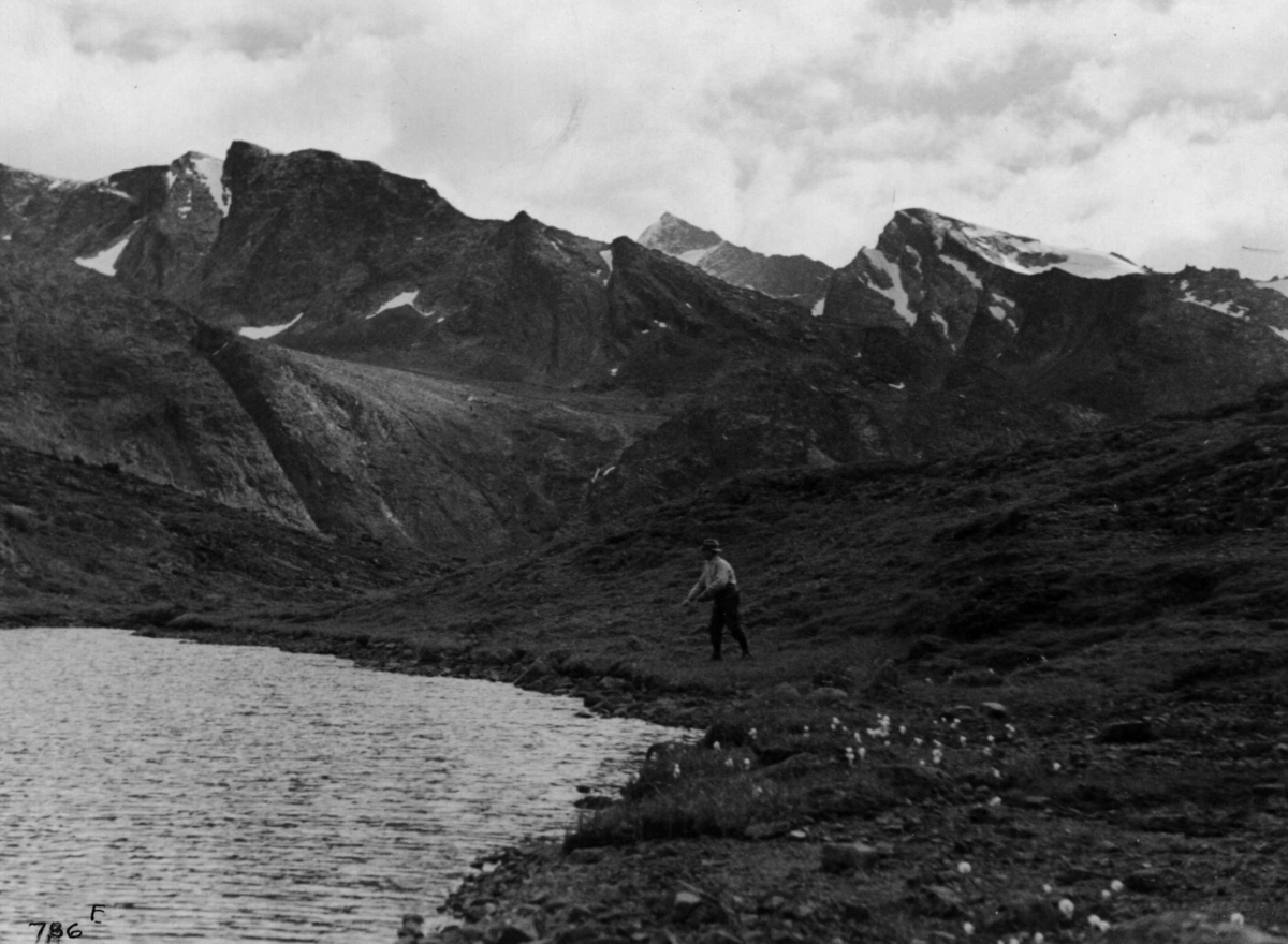 Anders Beer Wilse, Jotunheimen, landskap, myrull, fiske.