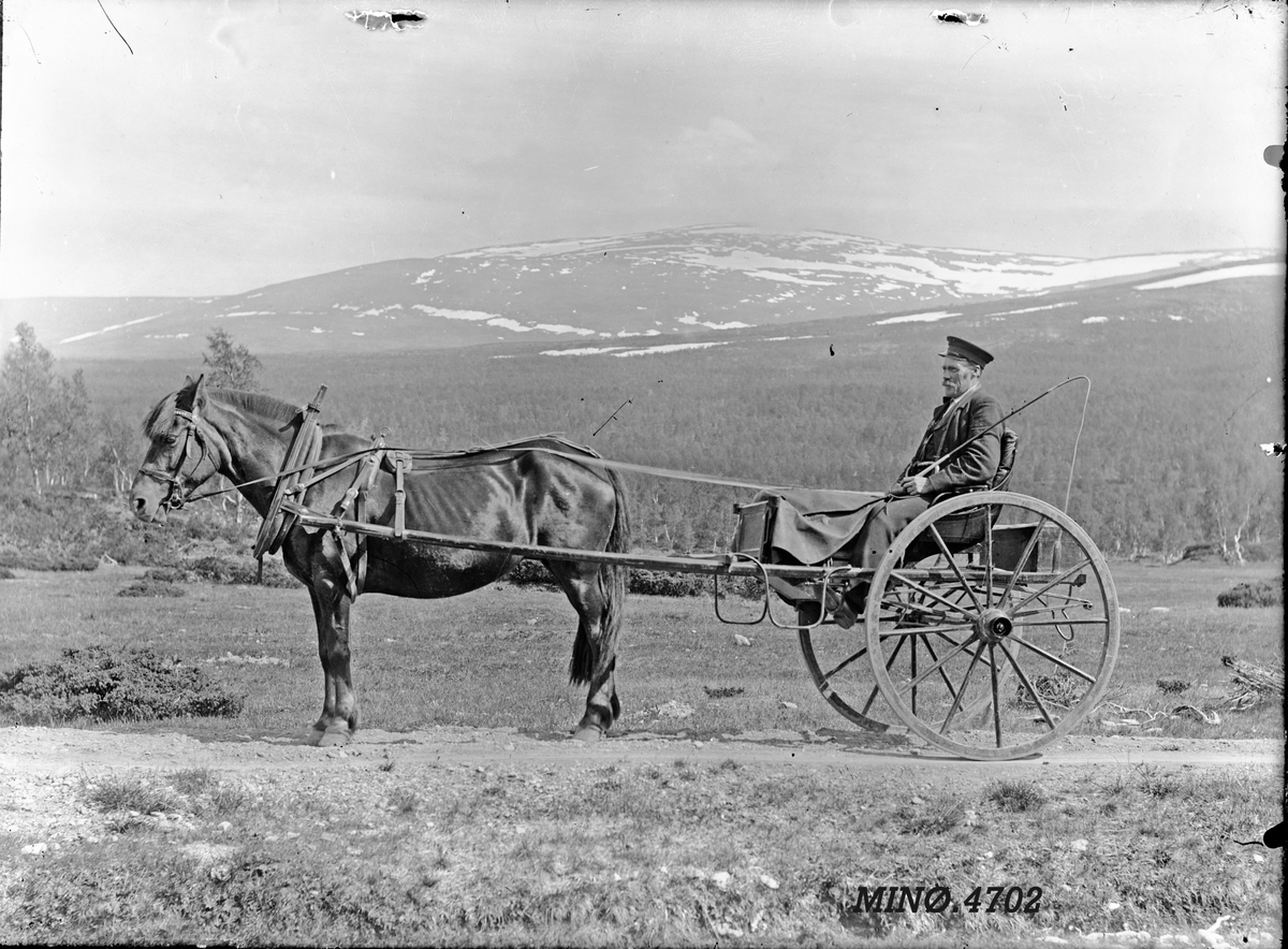 Peder J. Bredalslien, Hest, 2-hjuls vogn og kusk.
