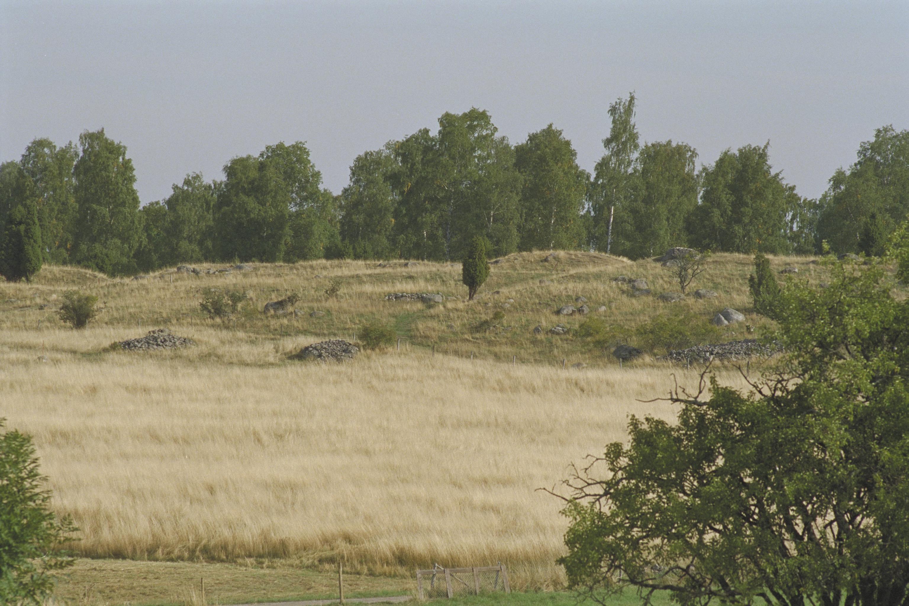 Bengt A Lundberg, Björkö-Birka