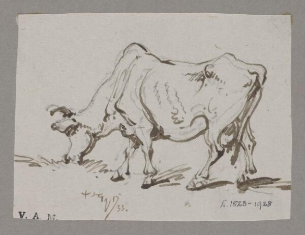George Chinnery, A grazing cow
