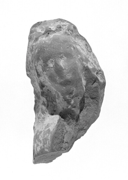 Unknown, Female Head Fragment