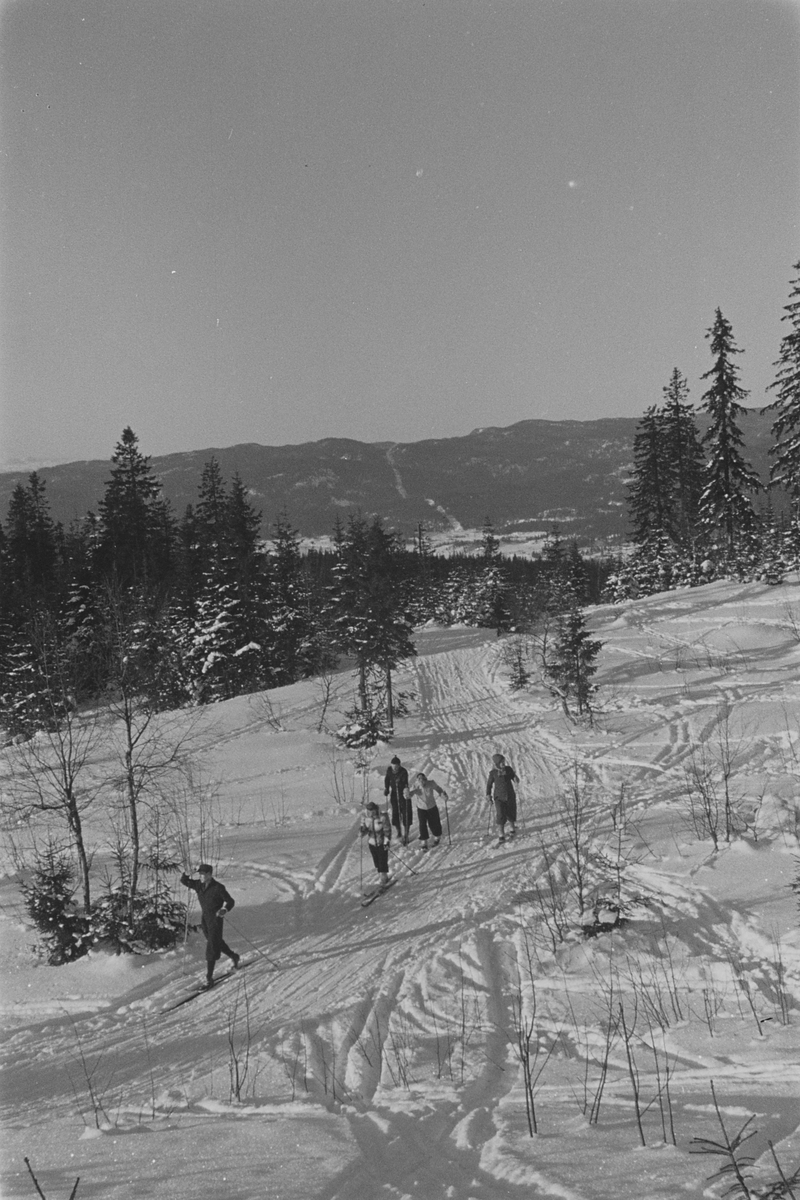 Anders Beer Wilse, Prot: Tryvannskleiva slalum