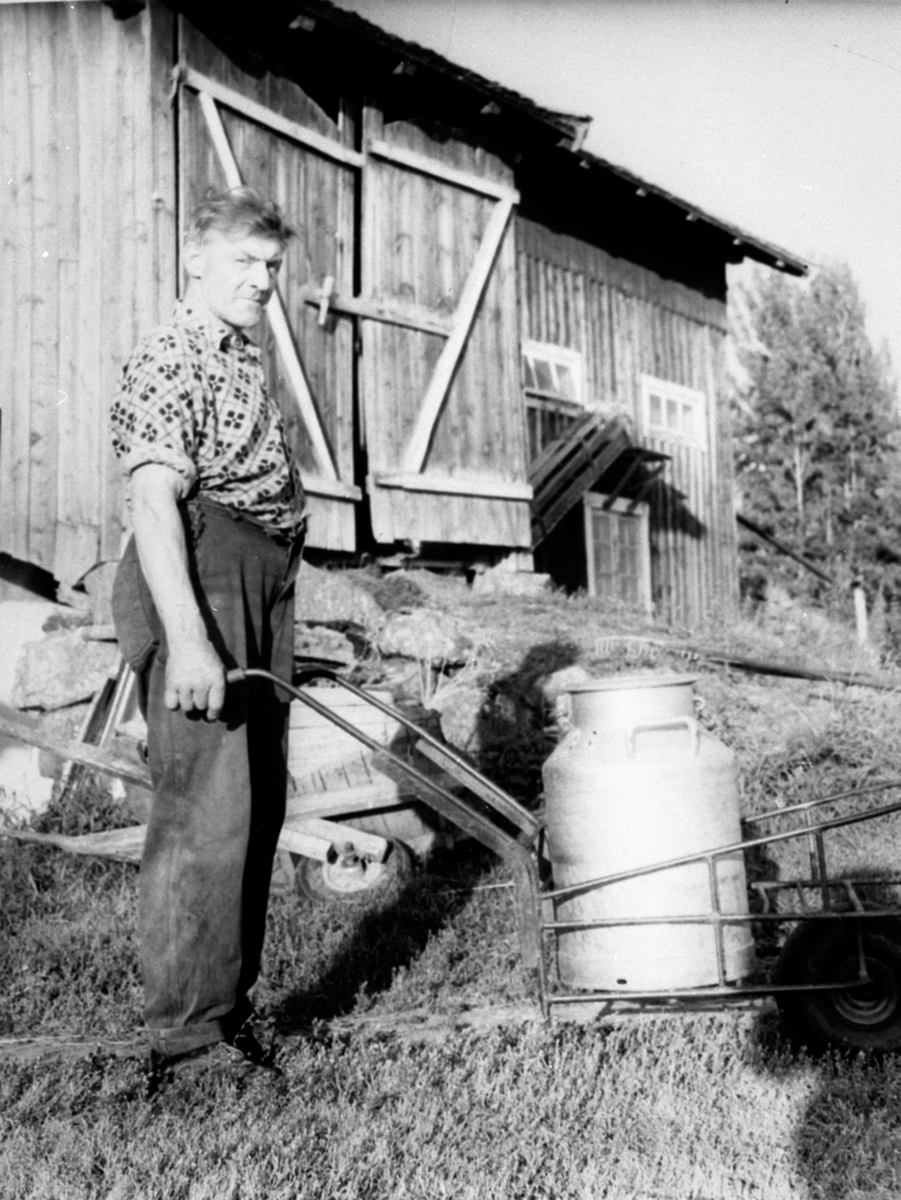 Anno Domkirkeodden, Syver Åsbrein kjører melkespann i håndkjerre, Åsbrein, Brenna nordre og Lille, Åsmarka, Ringsaker.