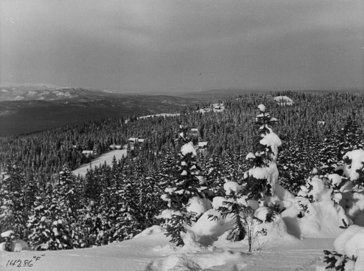 Anders Beer Wilse, Ringkollen, Vinter, Sno