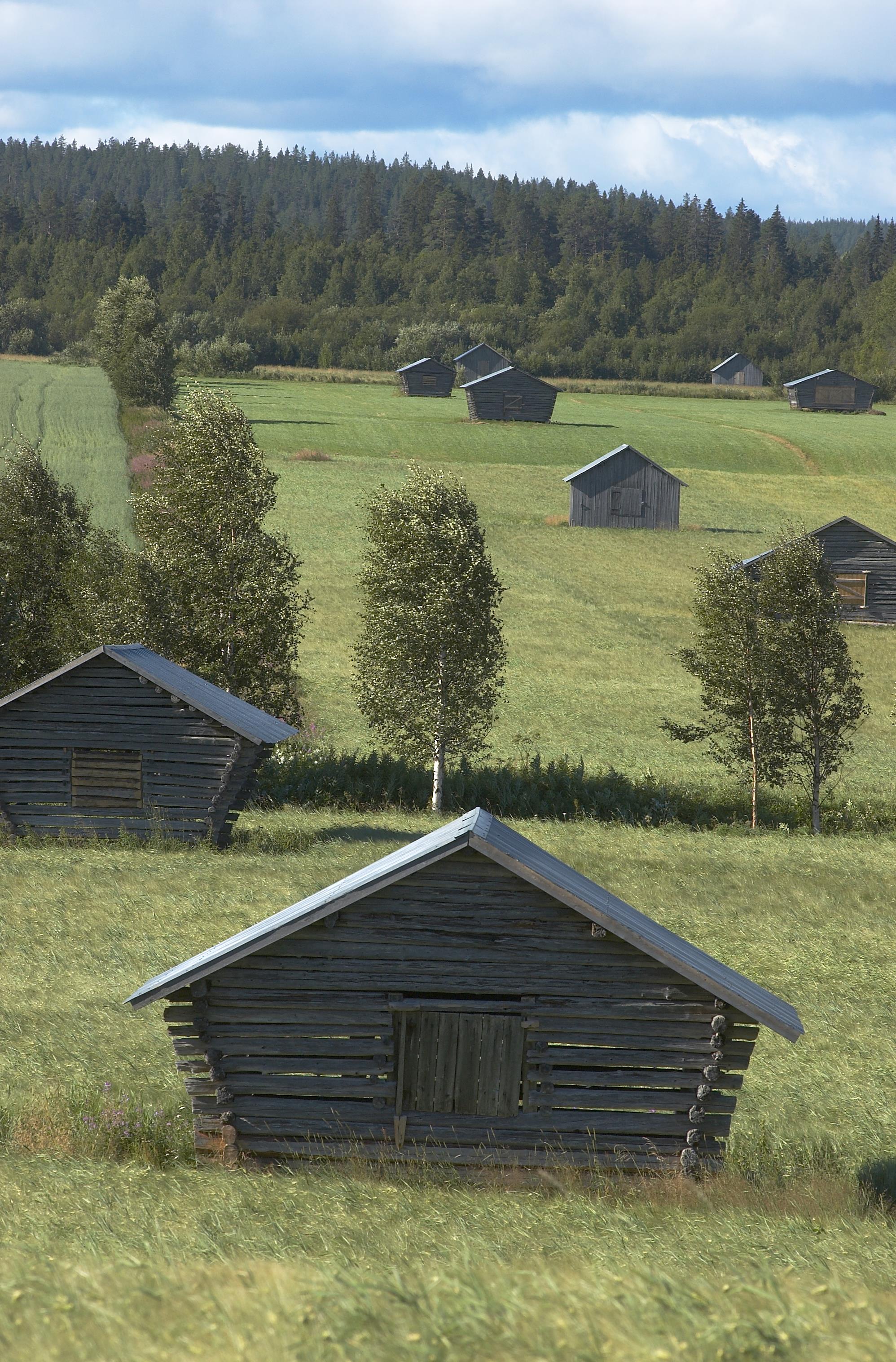 Bengt A Lundberg, Avan