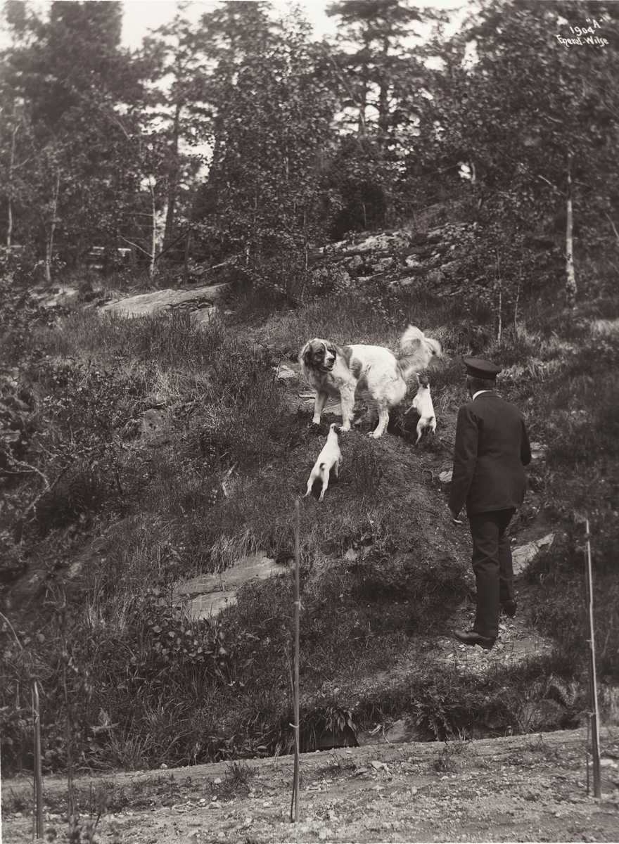 Anders Beer Wilse, Prot: Kapt. Roald Amundsen med sine tro Følgesvende 3/6