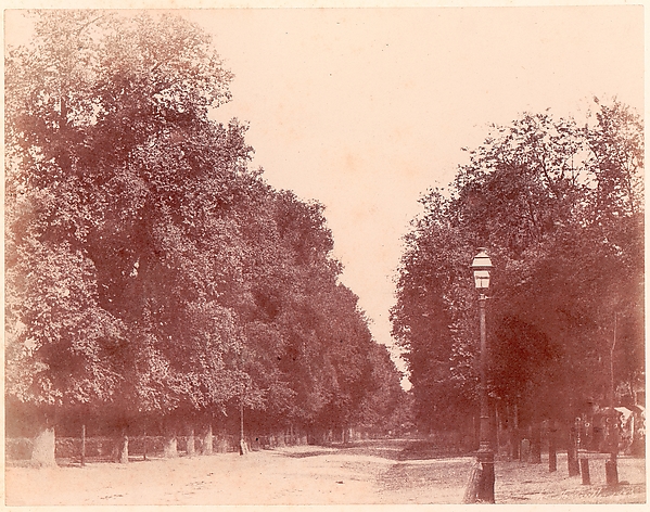 Charles Marville, Allée bordée d'arbres