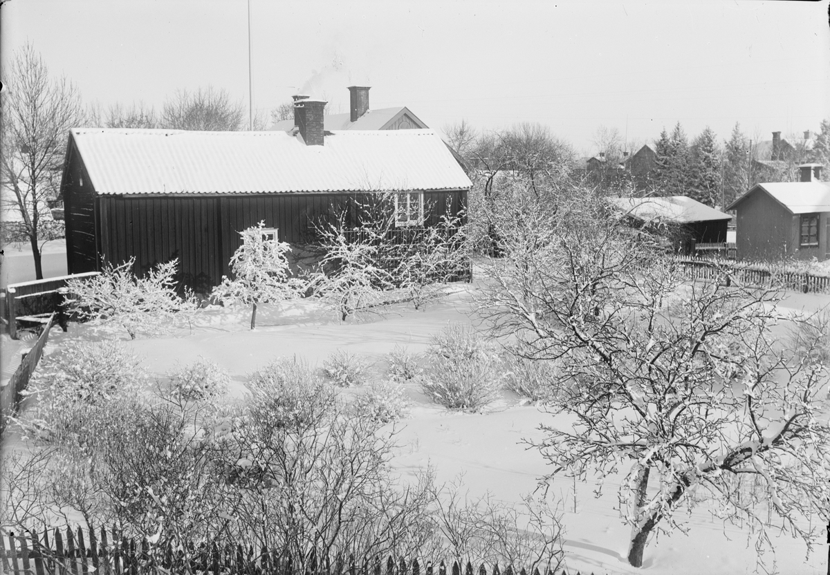 Per Elis Edhlund, "Edhlunds trädgård", Östhammar, Uppland