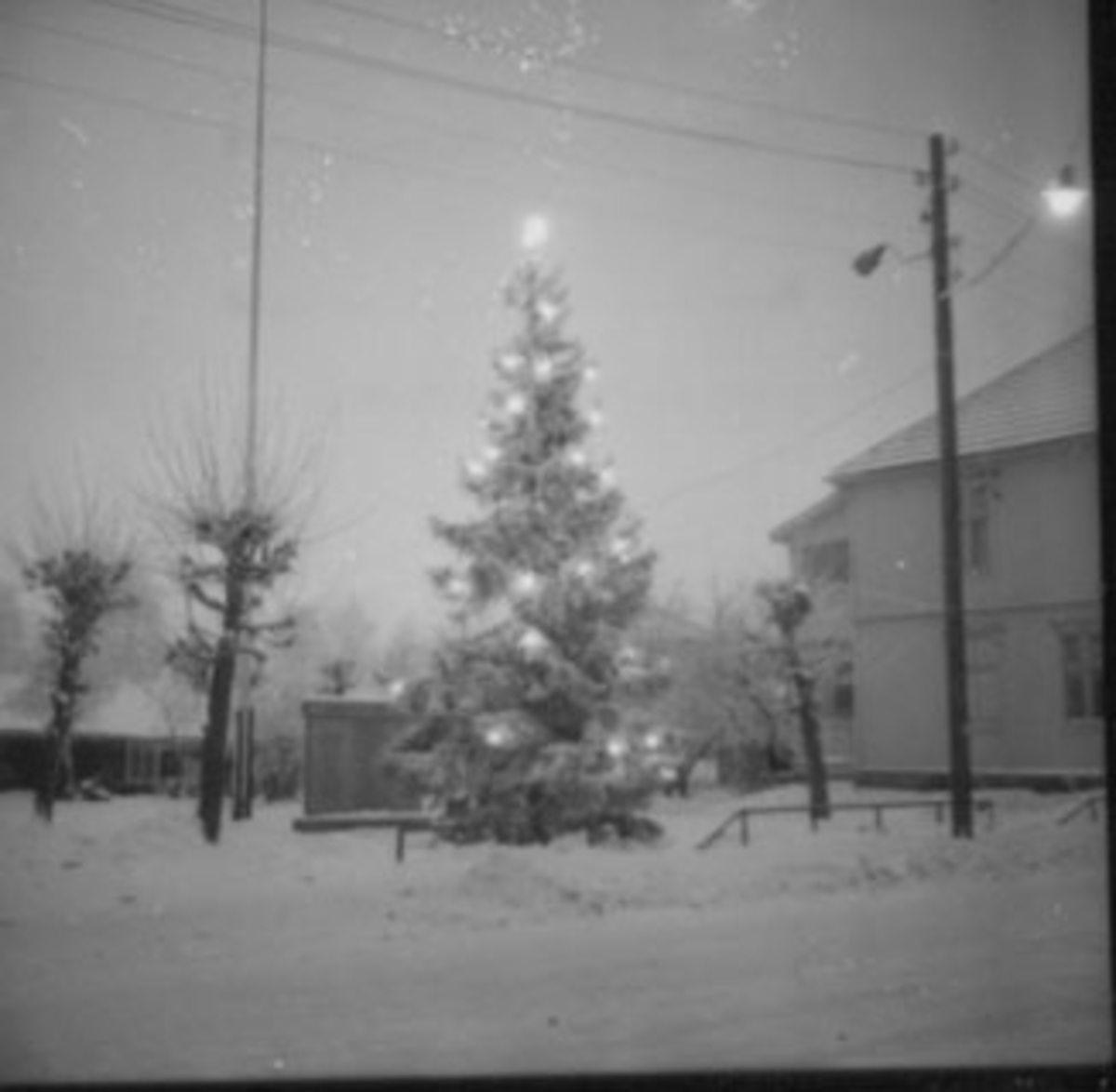 Anno Domkirkeodden, JULEGRAN, MONUMENTPLASSENN, VINTER,