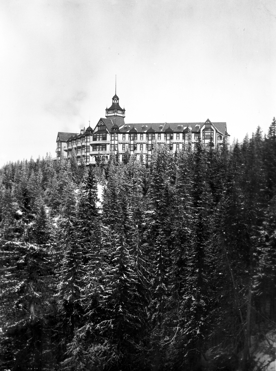 Anders Beer Wilse, Prot: Voksenkollens Sanatorium vinter 1902
