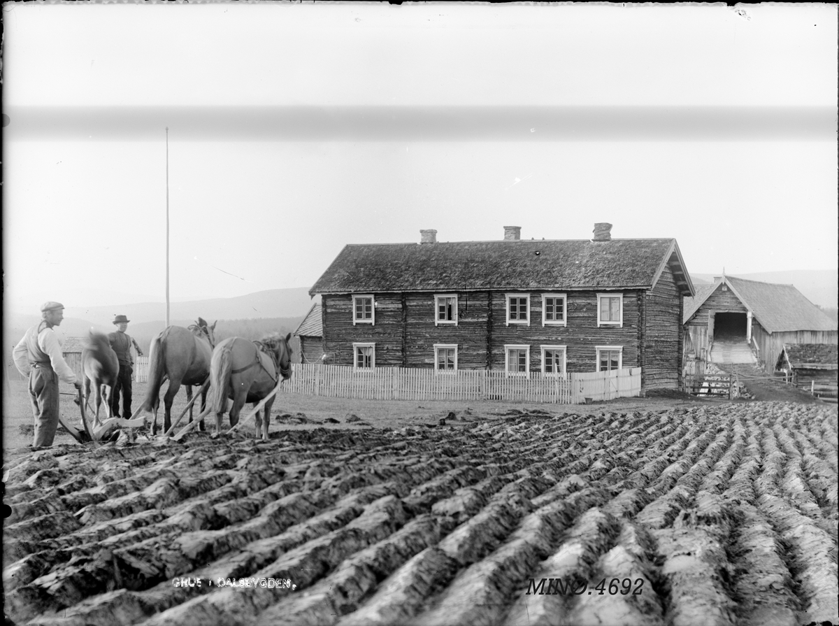 Peder J. Bredalslien, Hest, plog, bolighus, gårdsplass,