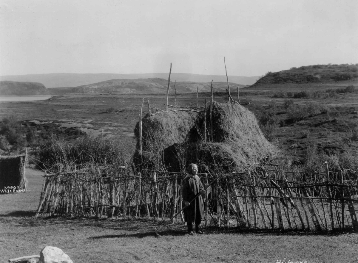 Anders Beer Wilse, Høykrake og hesje, en kvinne med rake går forbi gjerdet. Ved Porsangerfjord 1933.