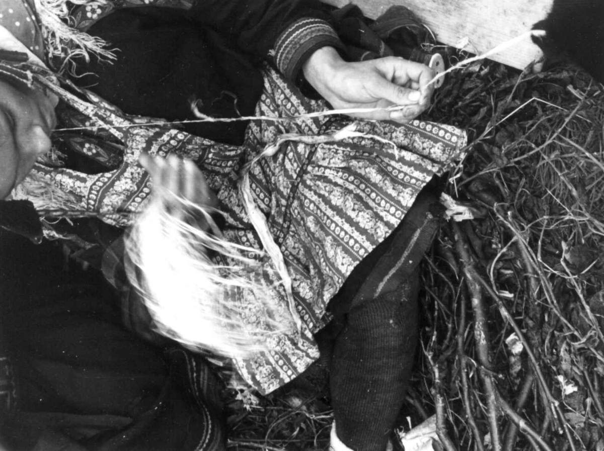 Anna Grostøl, En kvinne bearbeider senetråd. Olderdalen, Kåfjord, Troms 1947.