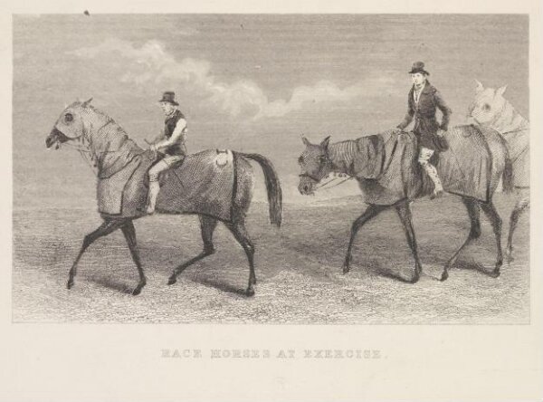 Unknown, Race Horses At Exercise.