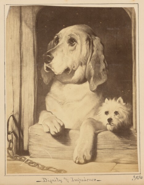 Unknown, [Painting of Two Dogs, Reproduction]