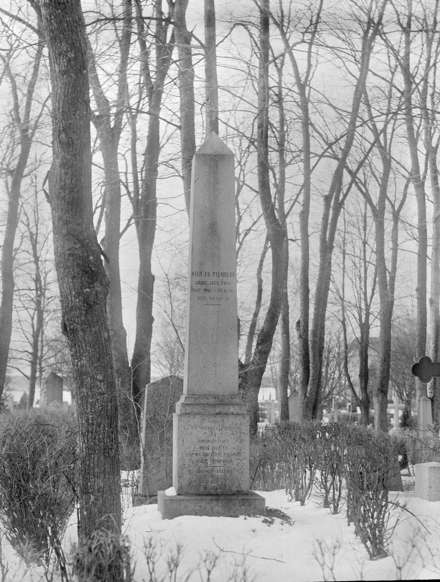 Henri Osti's Fotografiateliér, Professor Vilhelm Palmblad, Uppsala Old Cemetery, Uppsala 1911